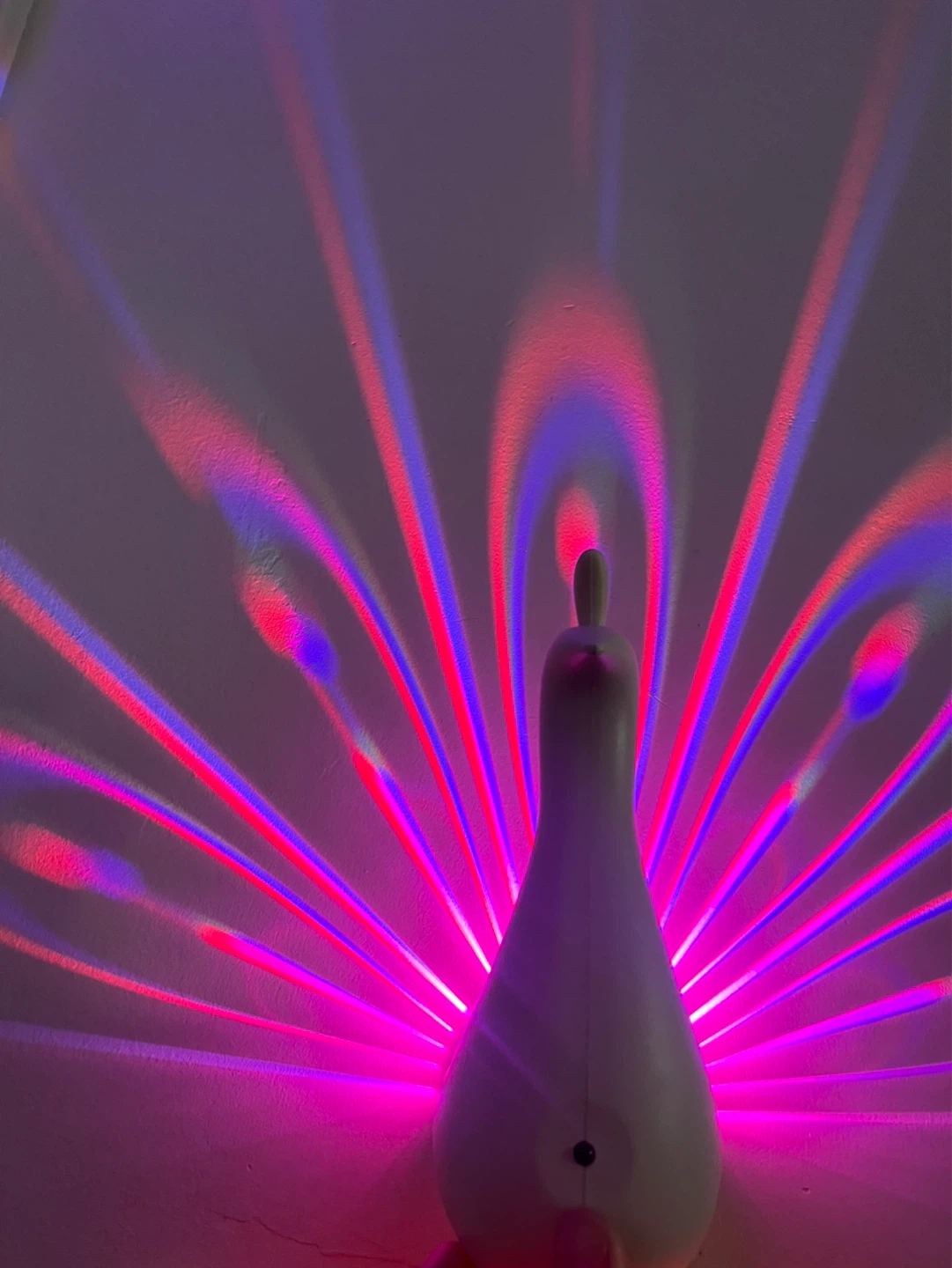 Peacock Light - photo 4