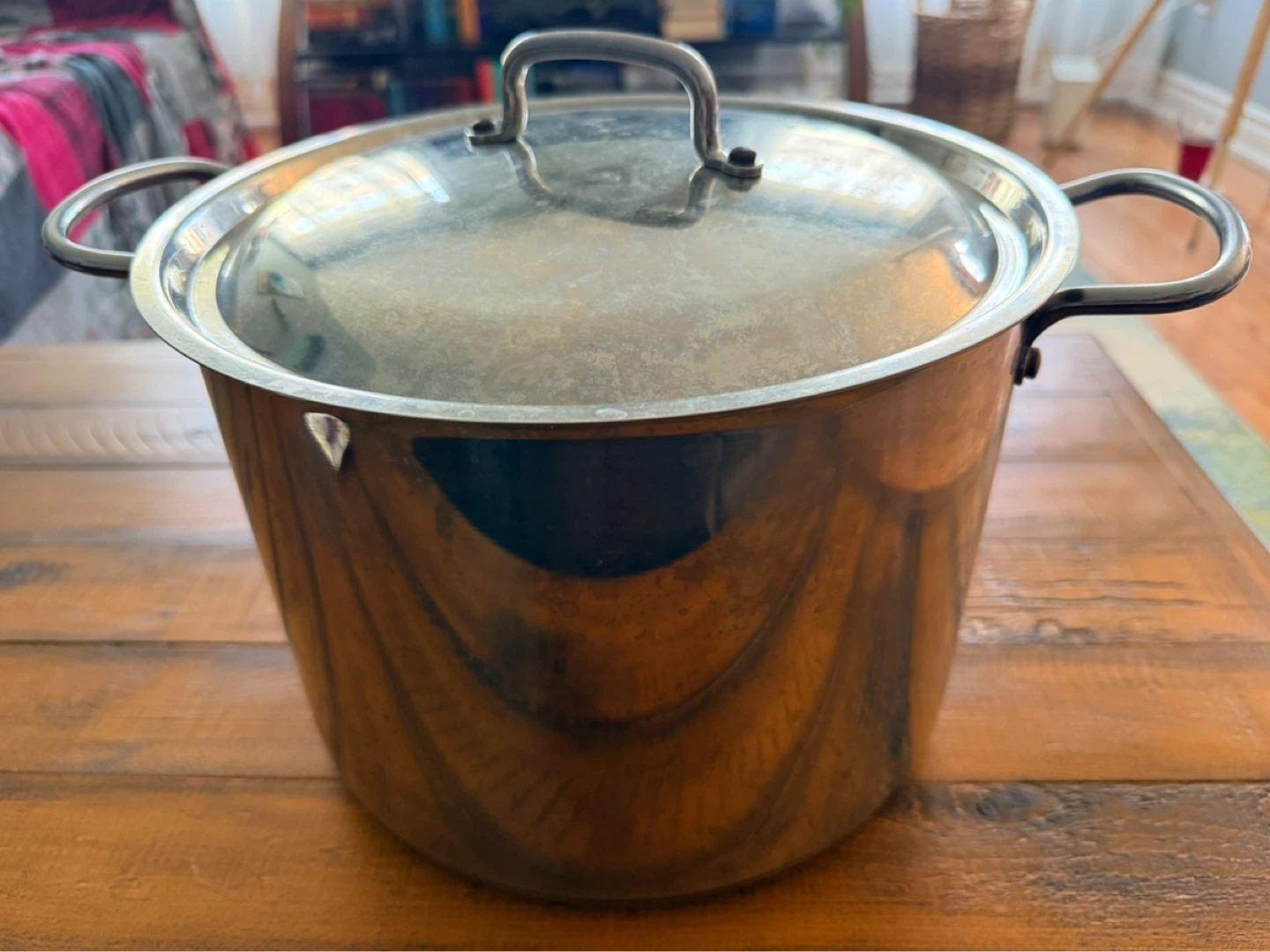 Stainless Steel Stock Pot with Lid