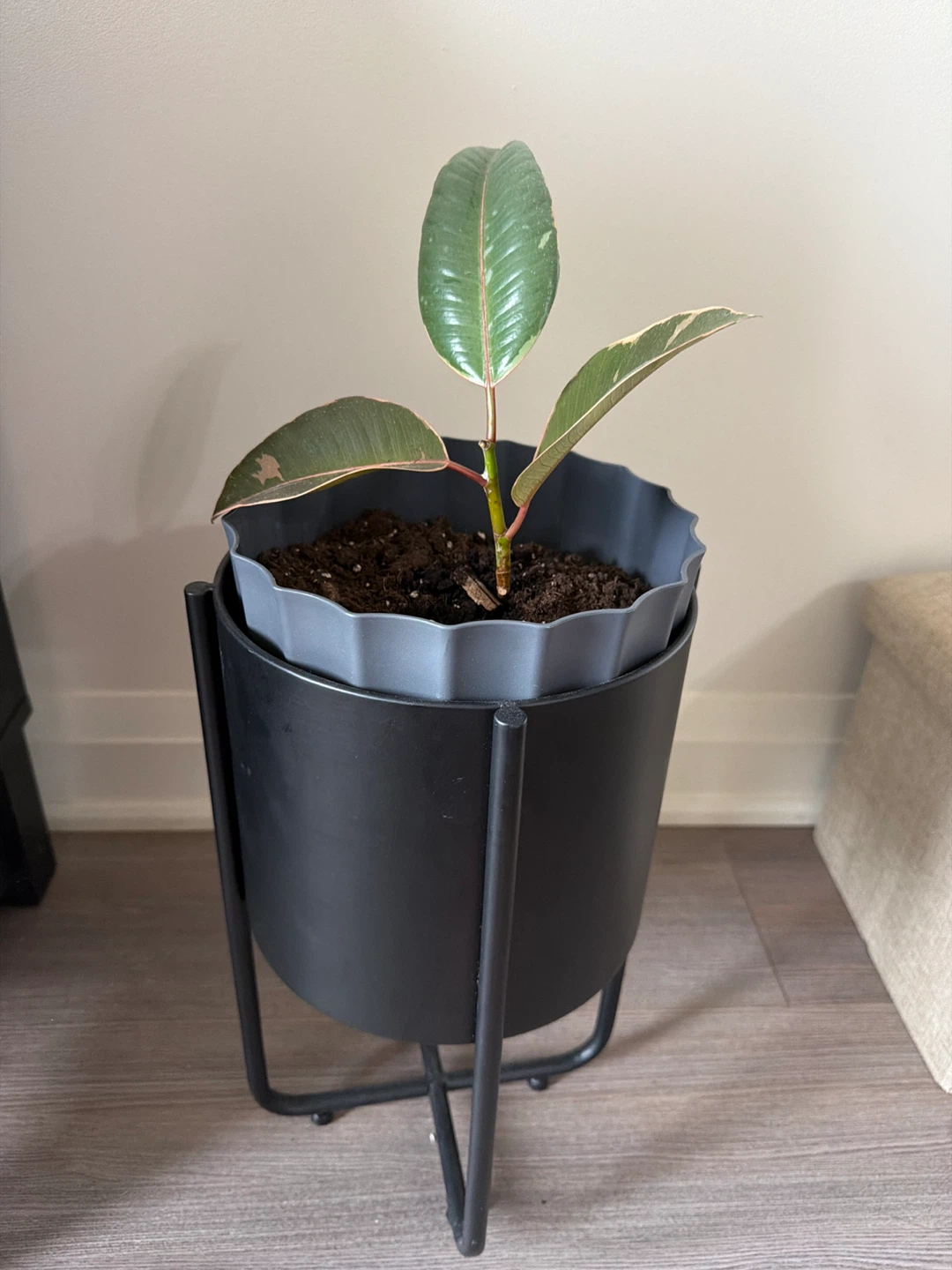 Black Metal Planter Stand