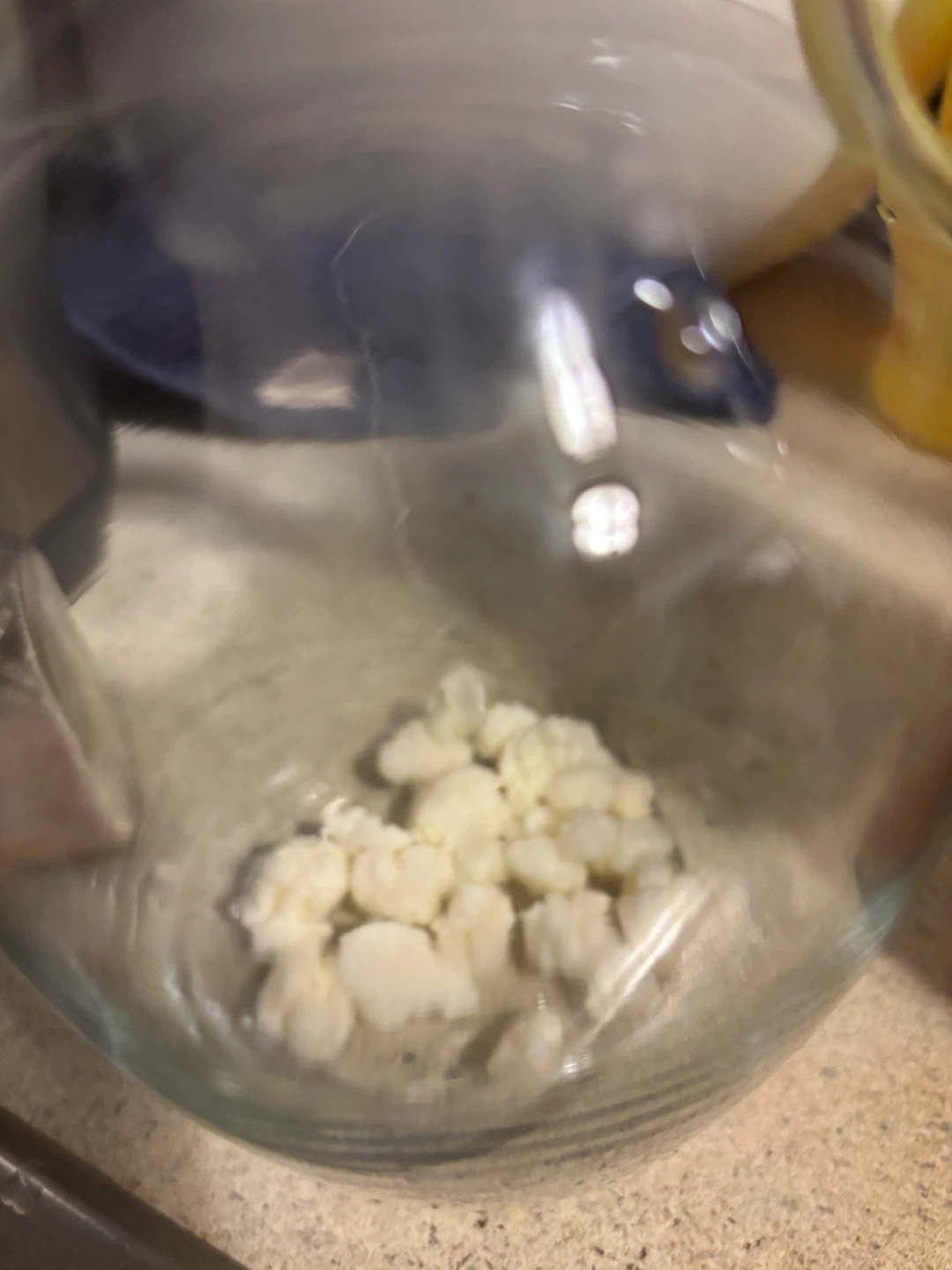 Kefir Grains - photo 2