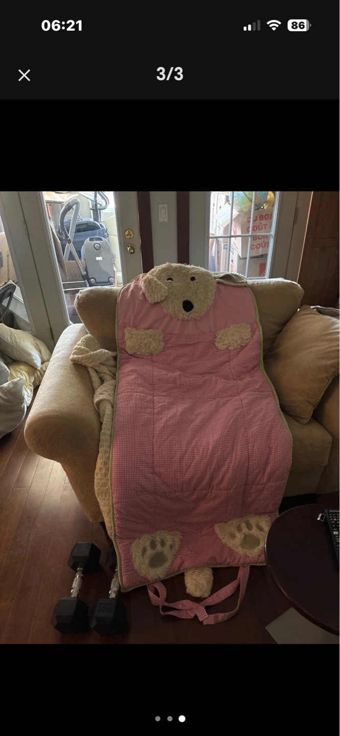 POTTERY BARN Children's Pink Gingham Dog Sleeping Bag