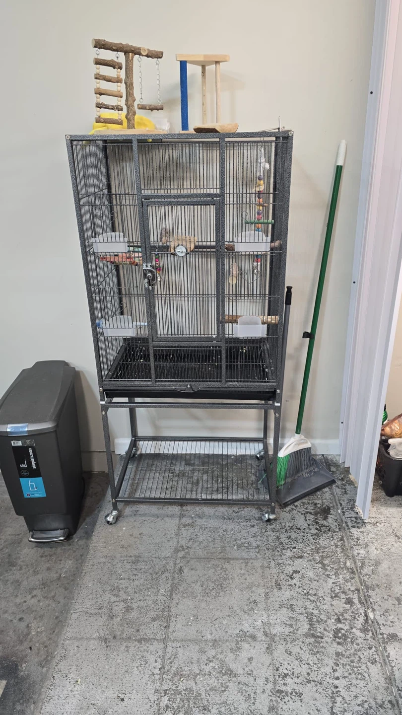 Large Bird Cage with Stand and Accessories