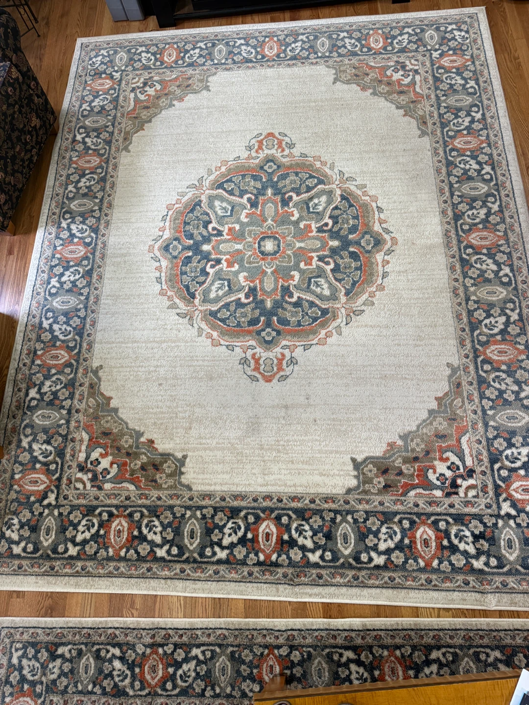 Persian Style Area Rug - photo 2