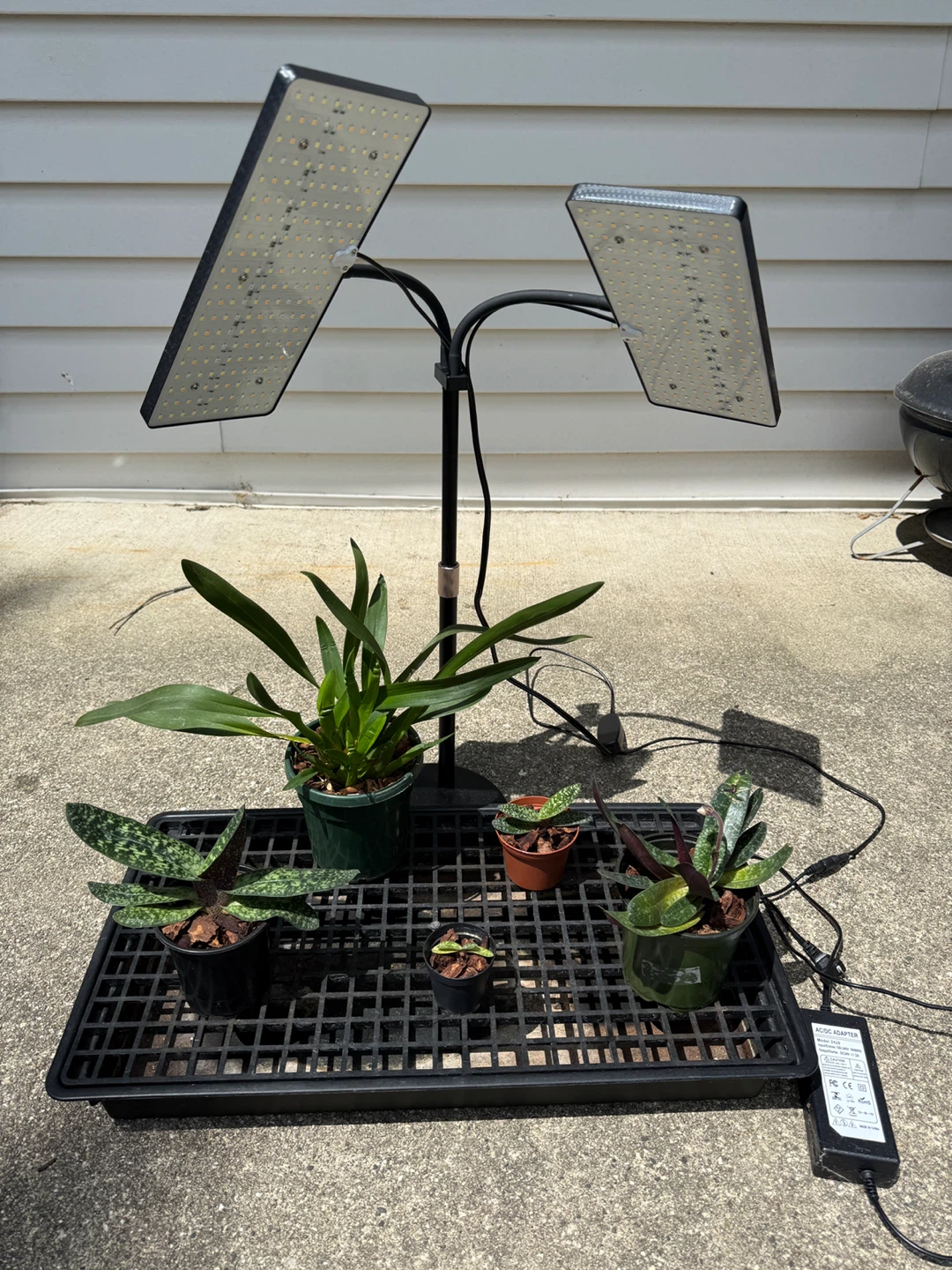 Adjustable LED Grow Light System