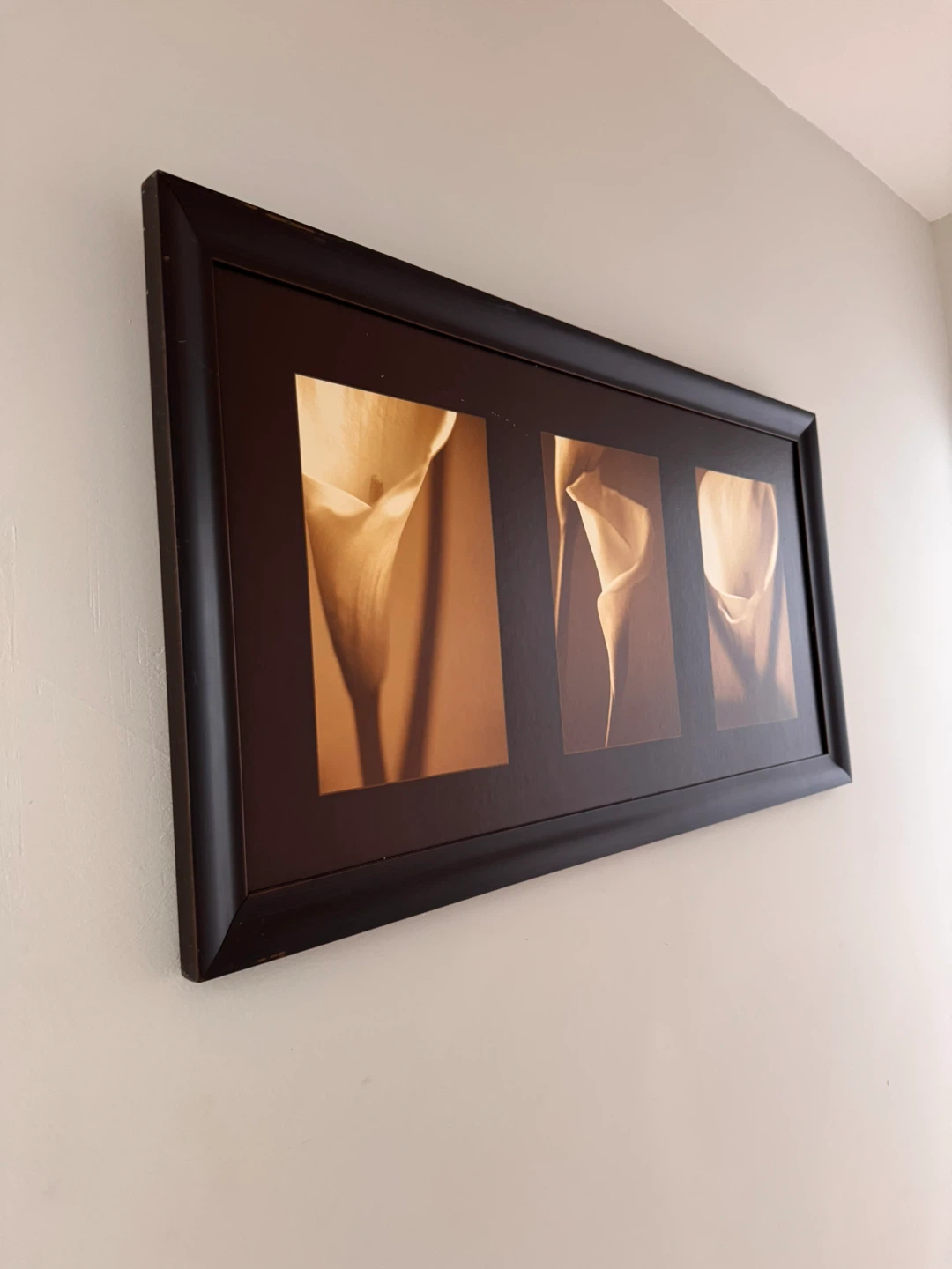 Framed Wall Art Collection