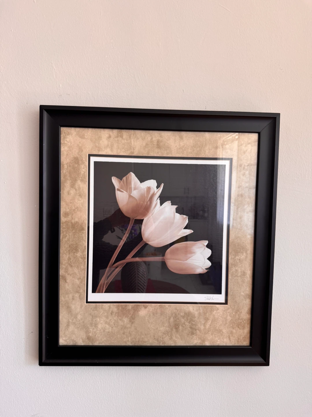 Framed Wall Art Collection - photo 3