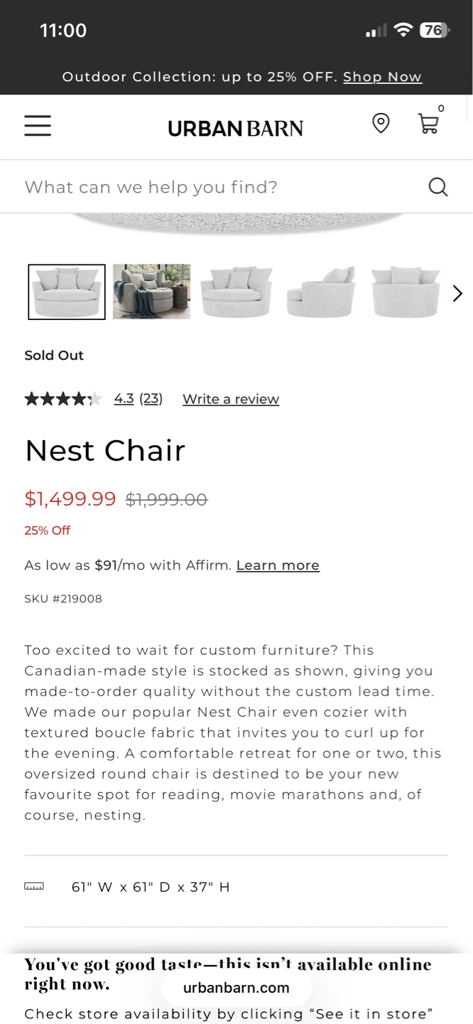 Urban Barn Nest Chair