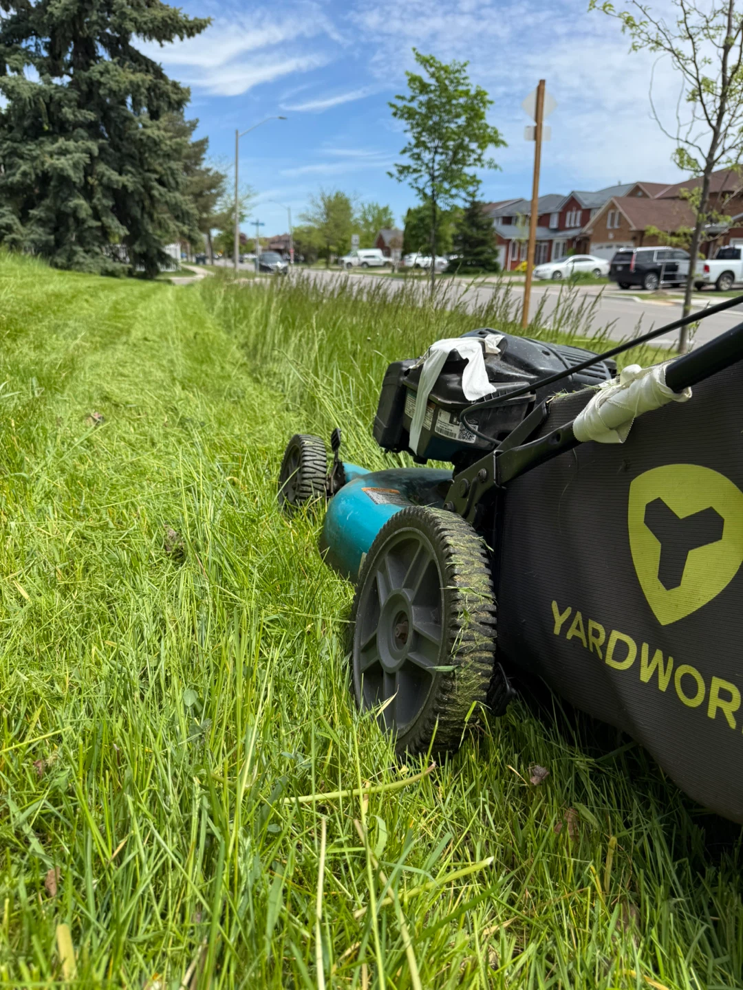 Grass cutter / Lawn Mower