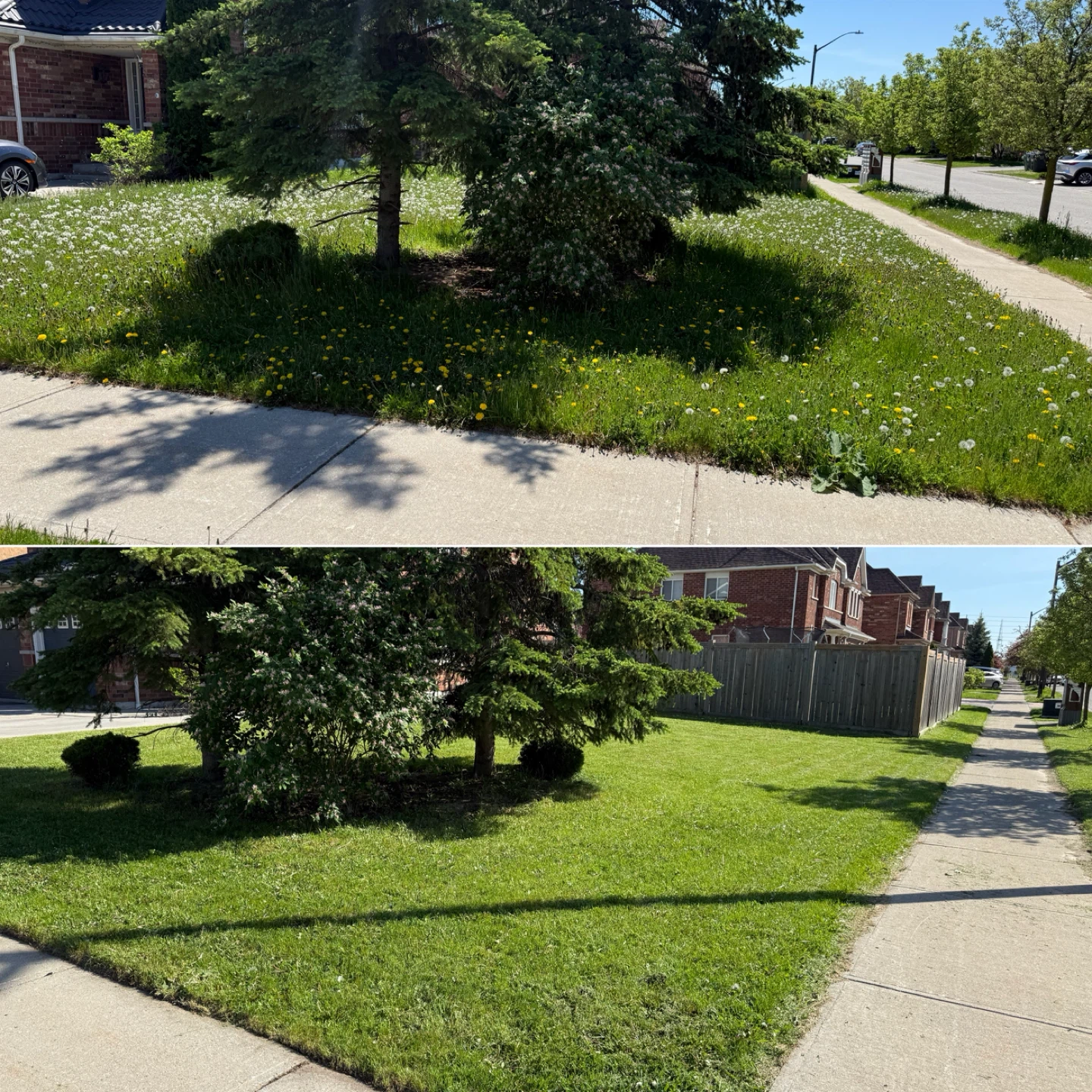 Grass cutter / Lawn Mower - photo 2