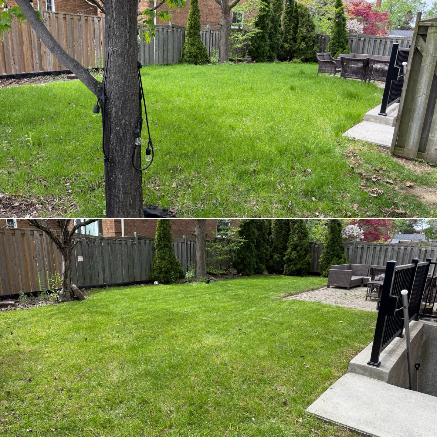 Grass cutter / Lawn Mower - photo 4