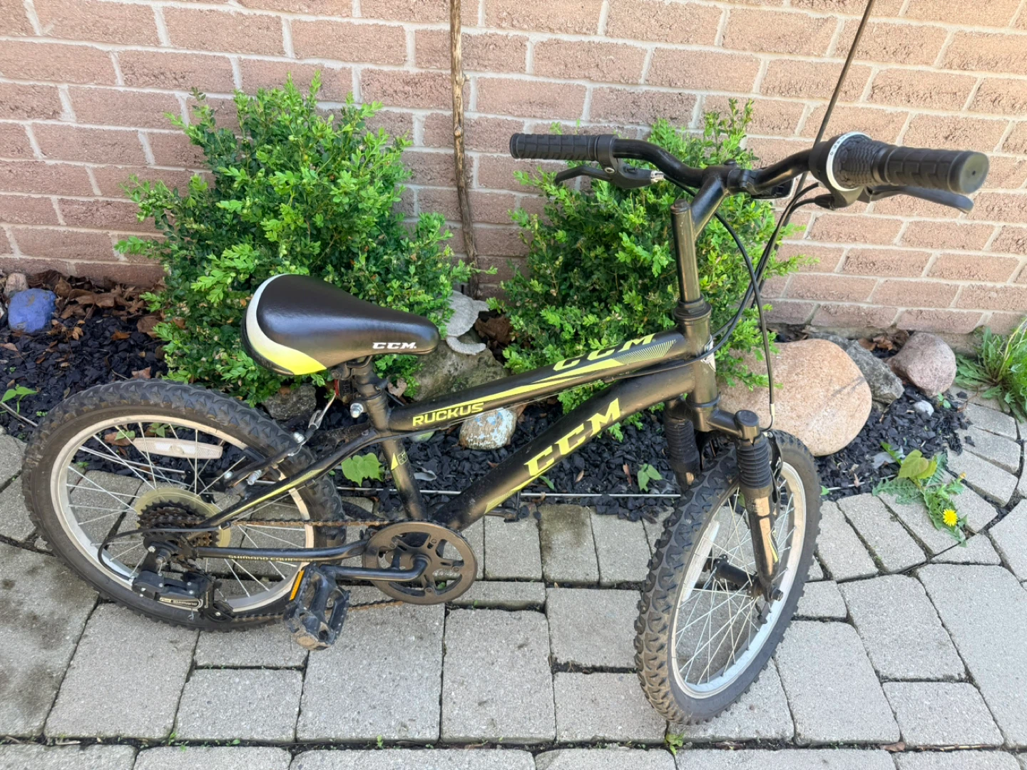 CCM Ruckus Kids 18” mountain bike