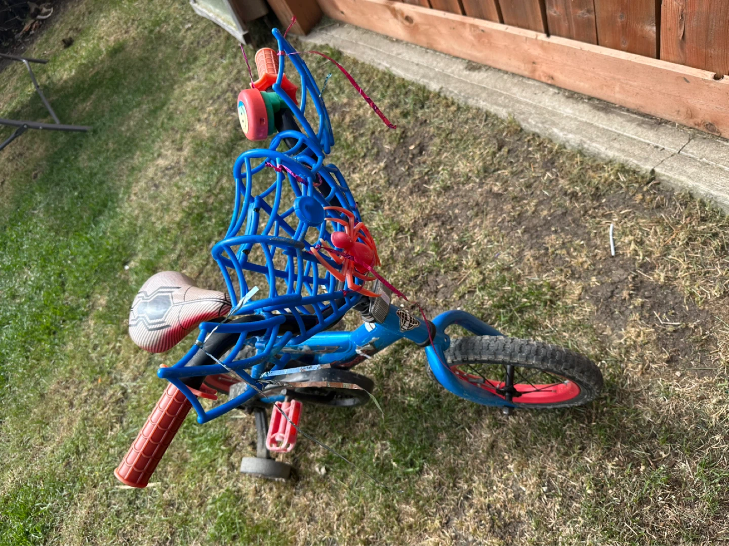 Blue Kids Bicycle with Training Wheels