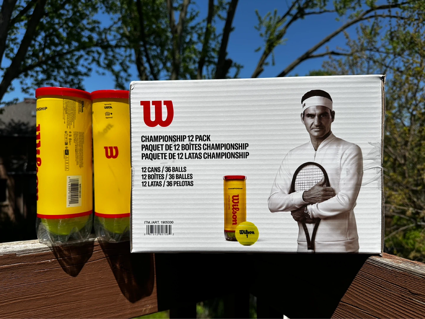 Wilson Championship Tennis Balls