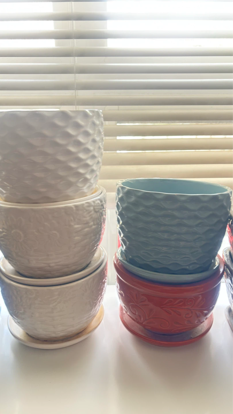 All for $20 Assorted Plant Pots - photo 5