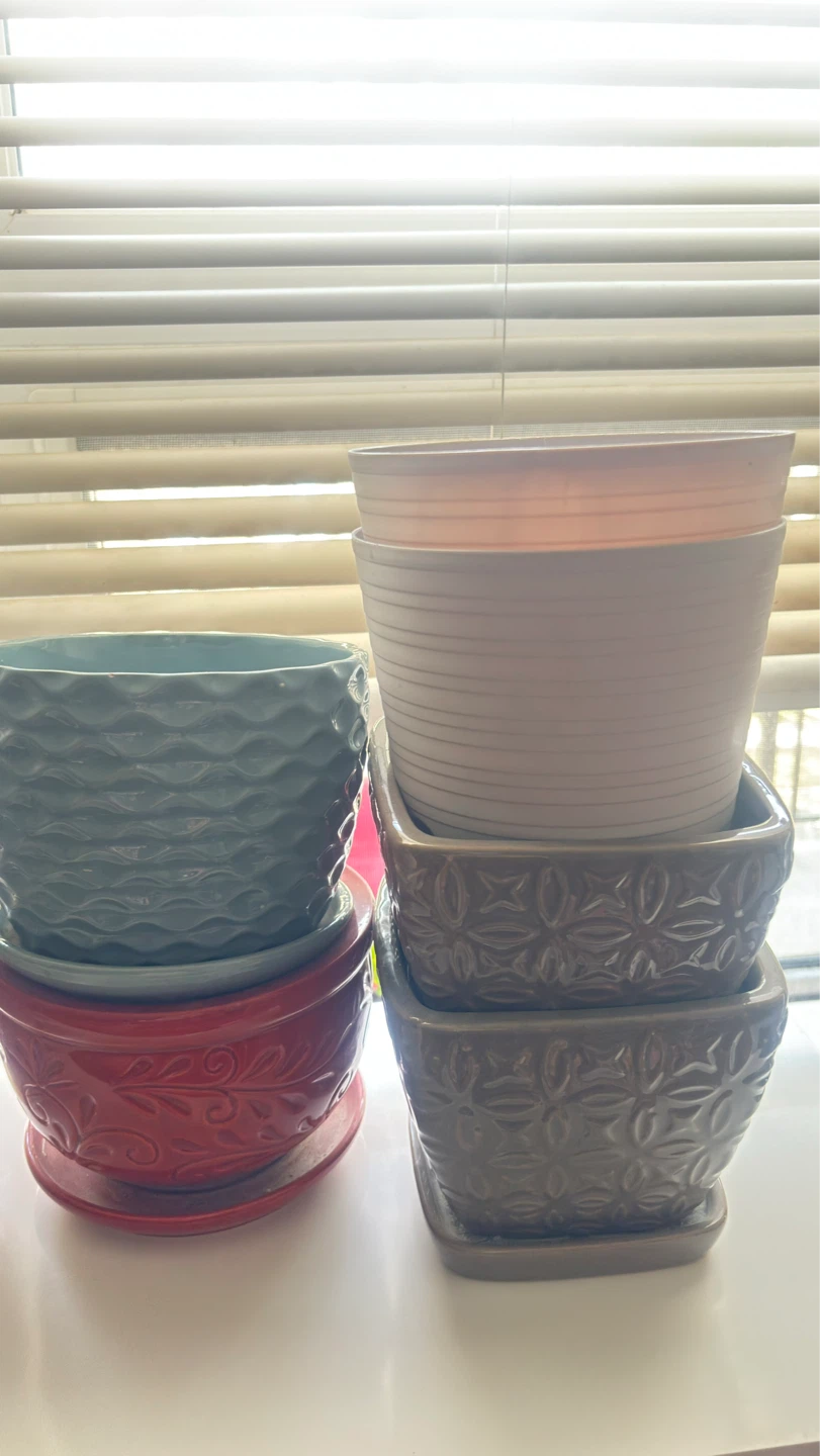 All for $20 Assorted Plant Pots - photo 4