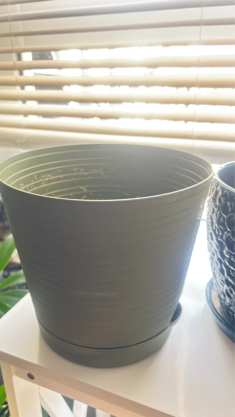 All for $20 Assorted Plant Pots - photo 2