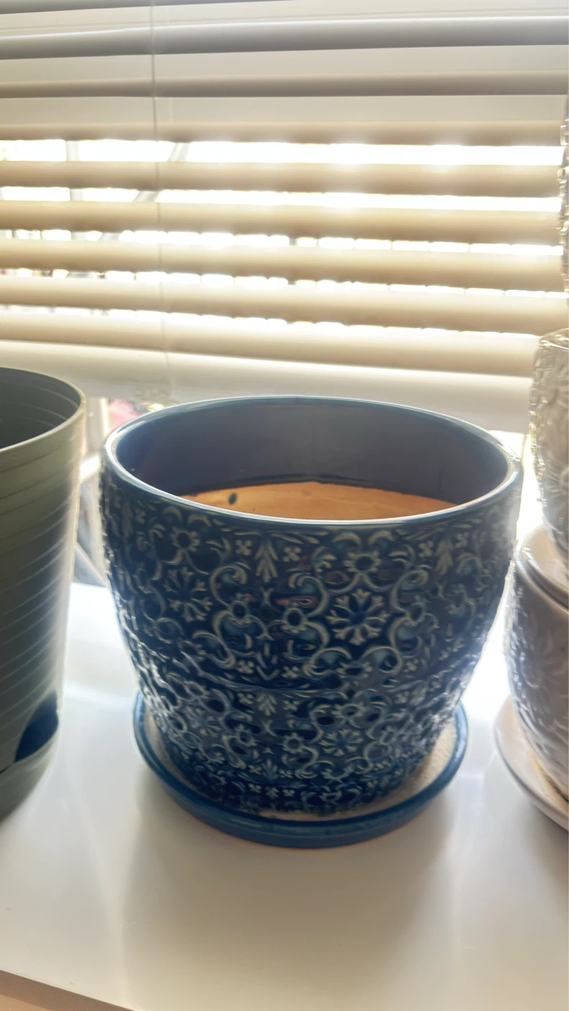 All for $20 Assorted Plant Pots - photo 3