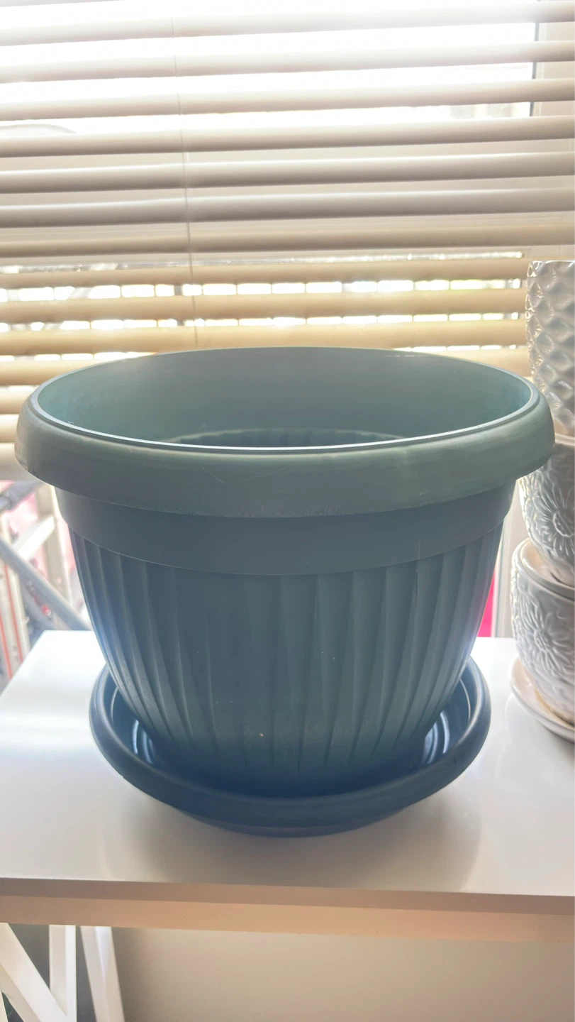All for $20 Assorted Plant Pots