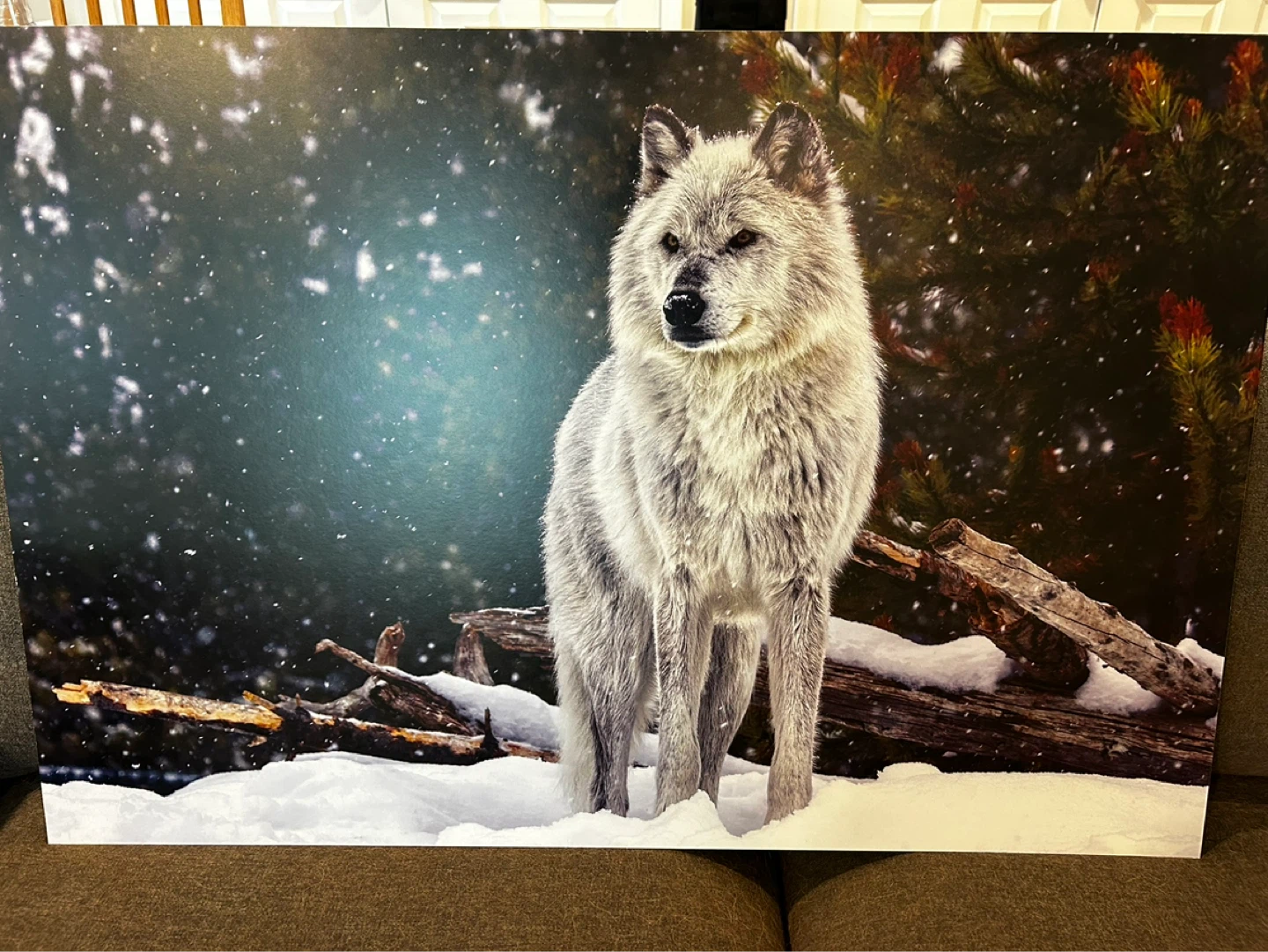 Wolf in Snow Wall Art