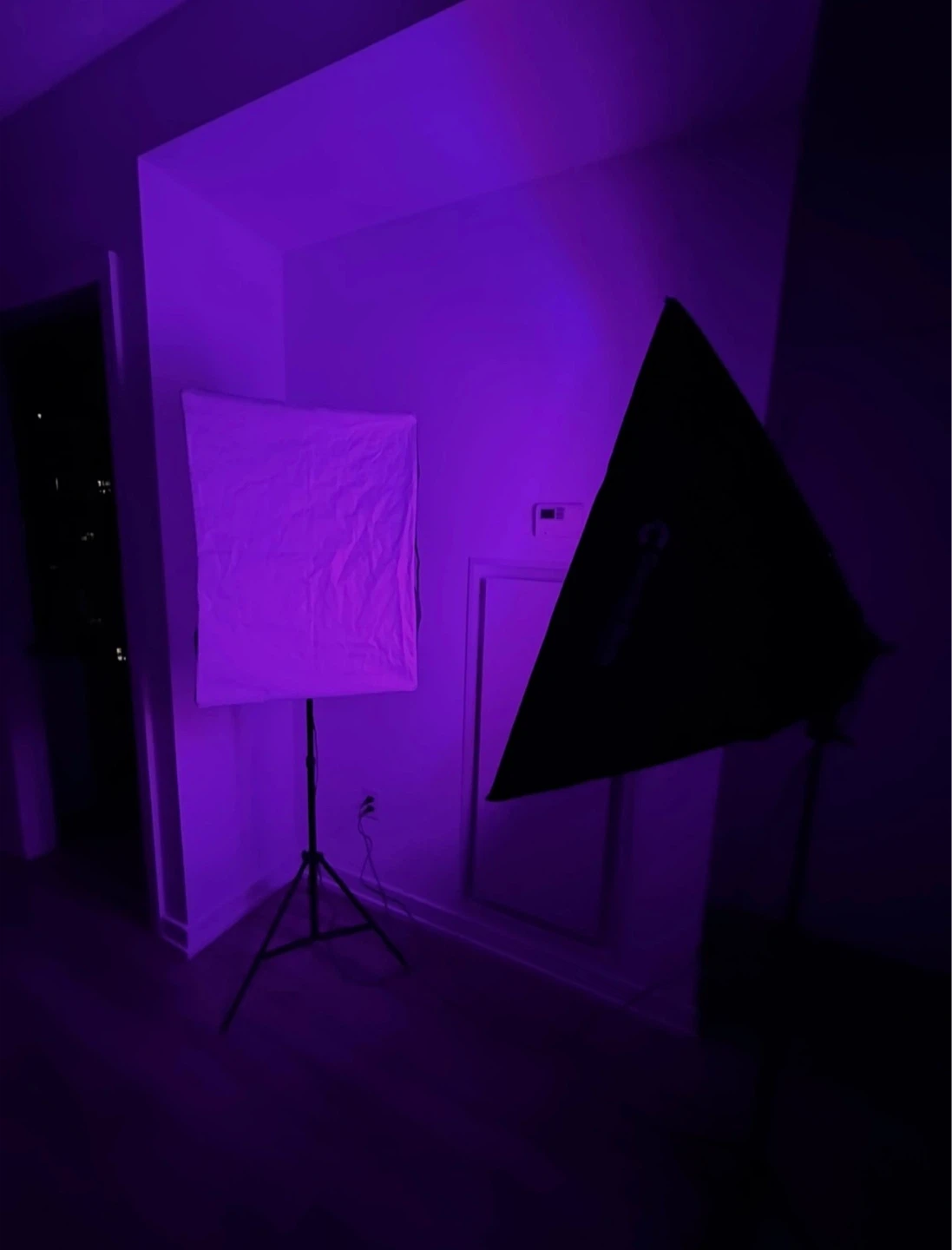 Canadian Studio Softbox and Light Kit with Carrying Bag - photo 3