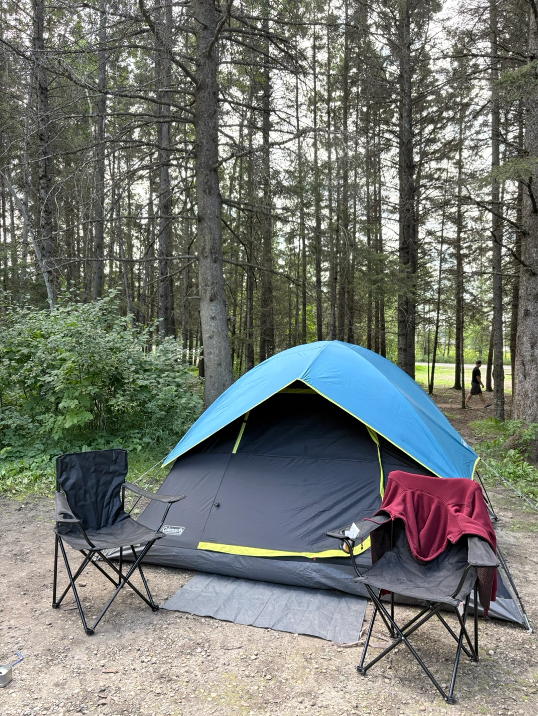 Coleman Skydome 4/6 Person Camping Tent