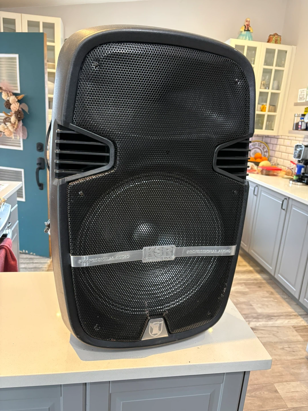 KSR LINK Professional Audio Speaker