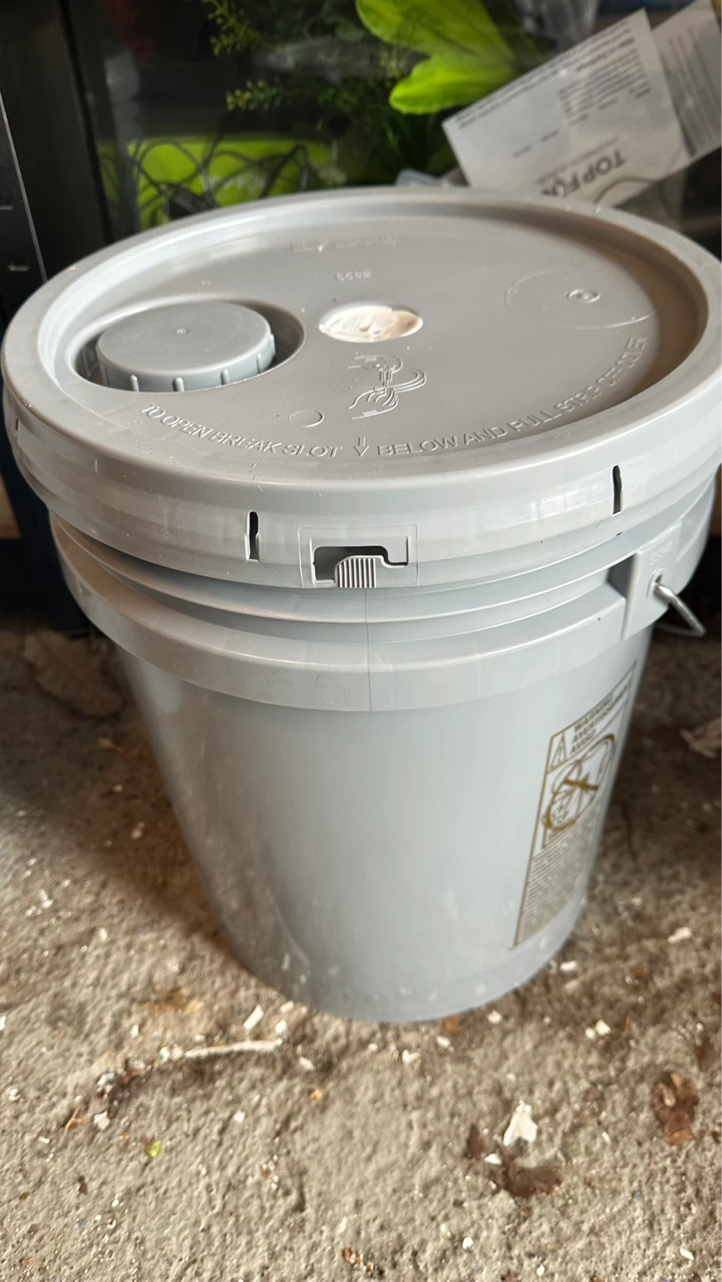 Paint New Full Pail Latex Eggshell White - photo 3