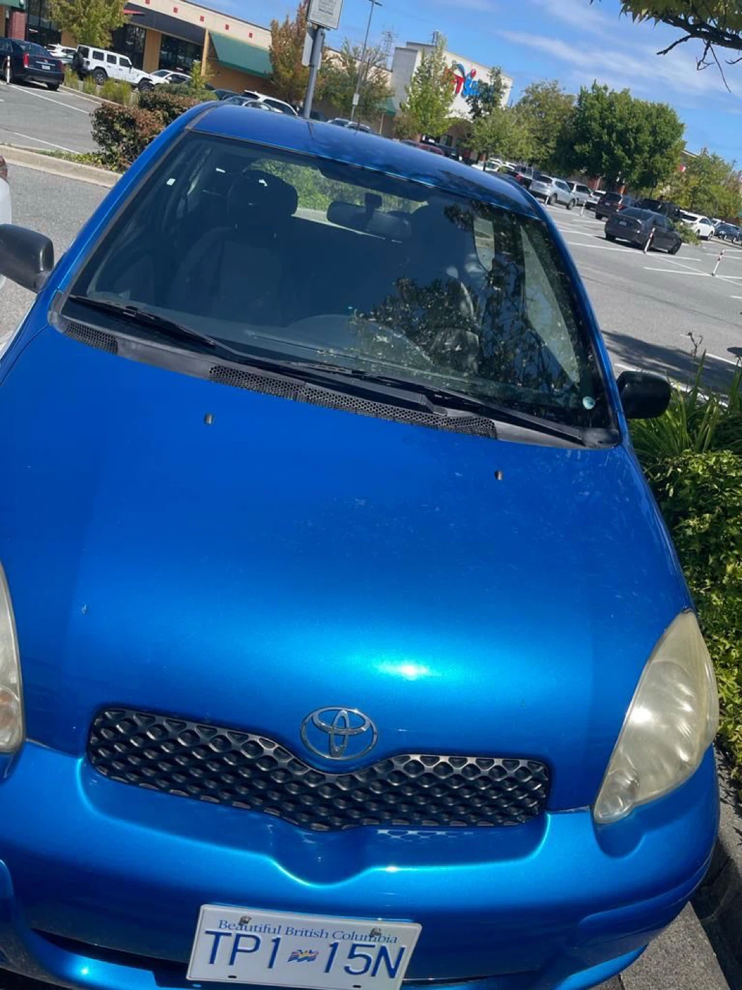 Blue Toyota Echo Hatchback - photo 3