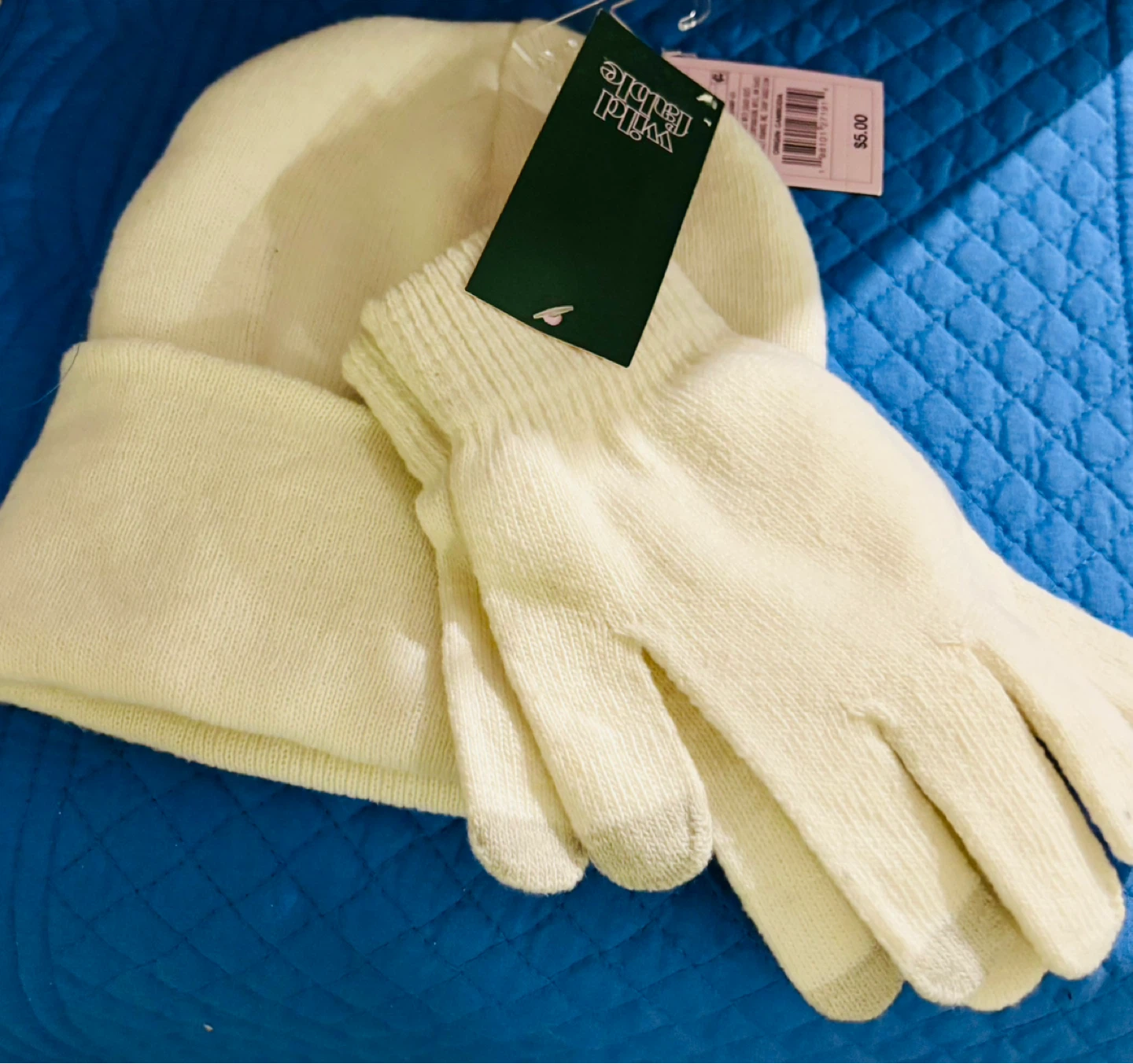 BRAND NEW Wild Fable Beanie and Gloves Set