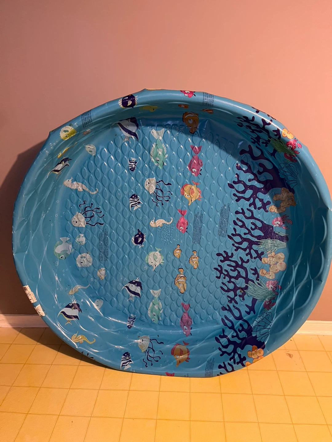 Kiddie Pool