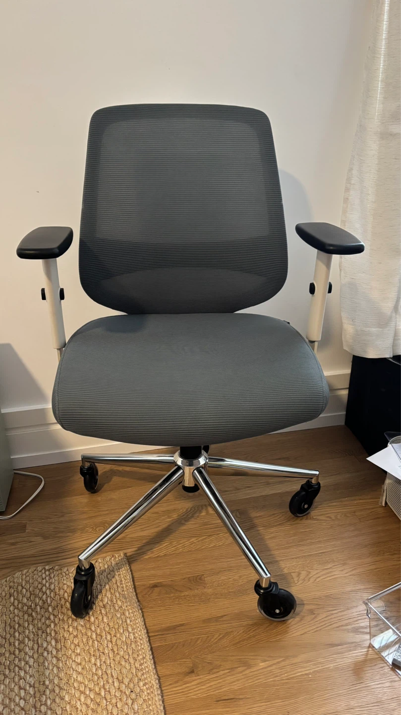 Branch adjustable office chair