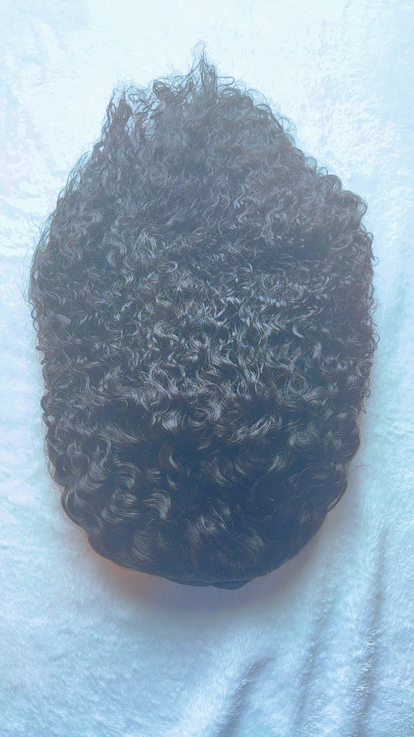 Black Curly Wig with Net