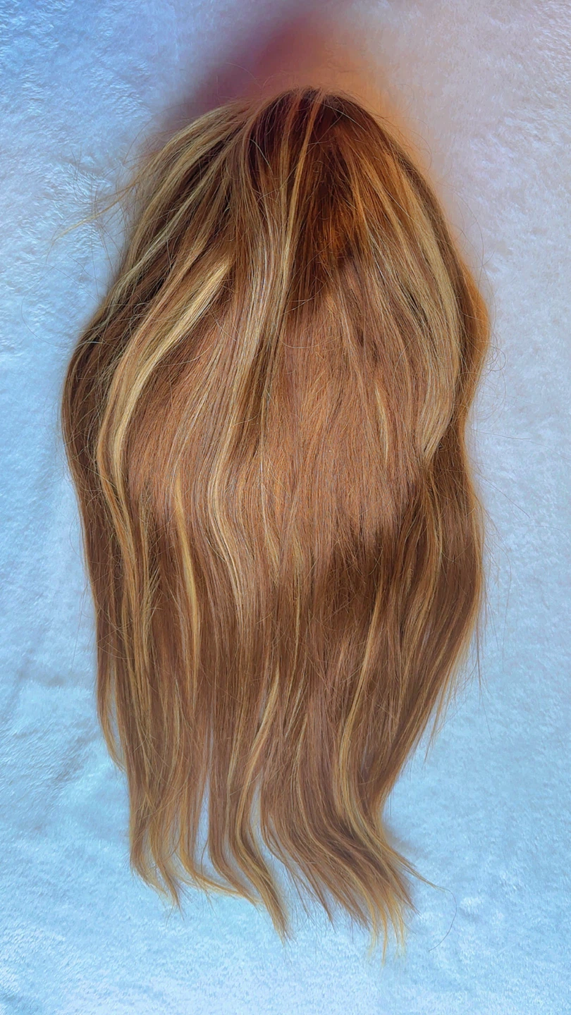 Wig Cap Included Brown & Blonde Highlighted Wig