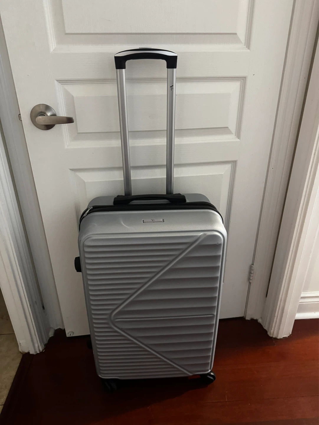 V-Light Silver Spinner Luggage