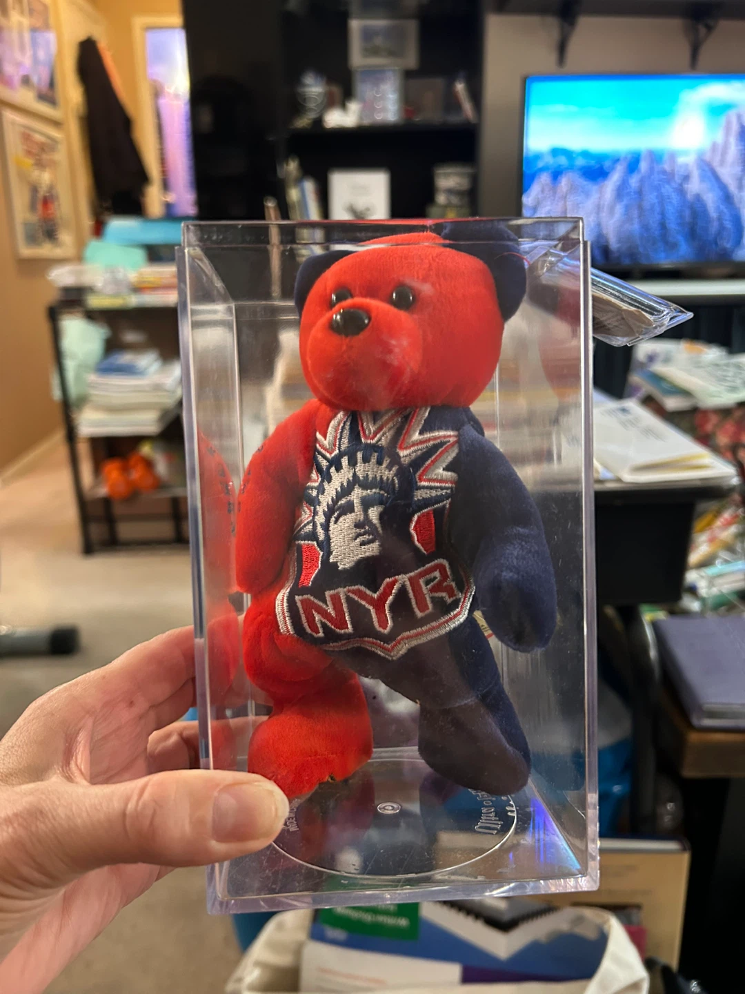 New York Rangers Teddy Bear Plush in Display Case