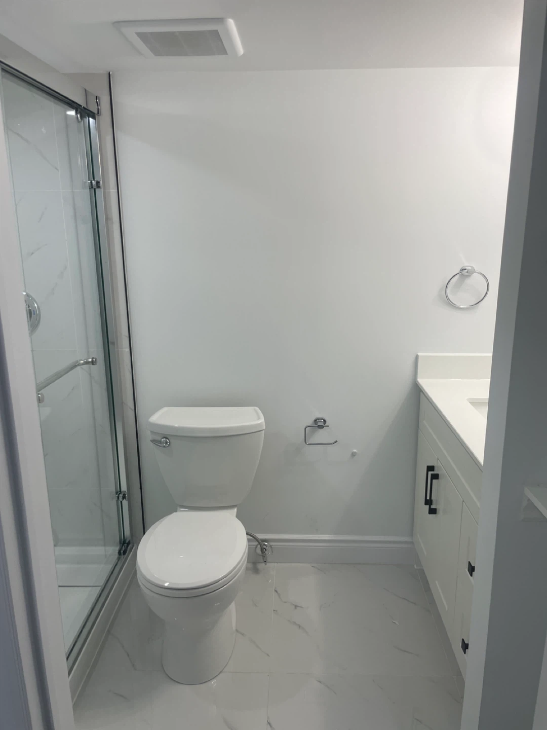 Newly built Basement with Bathroom and Bedroom - photo 3