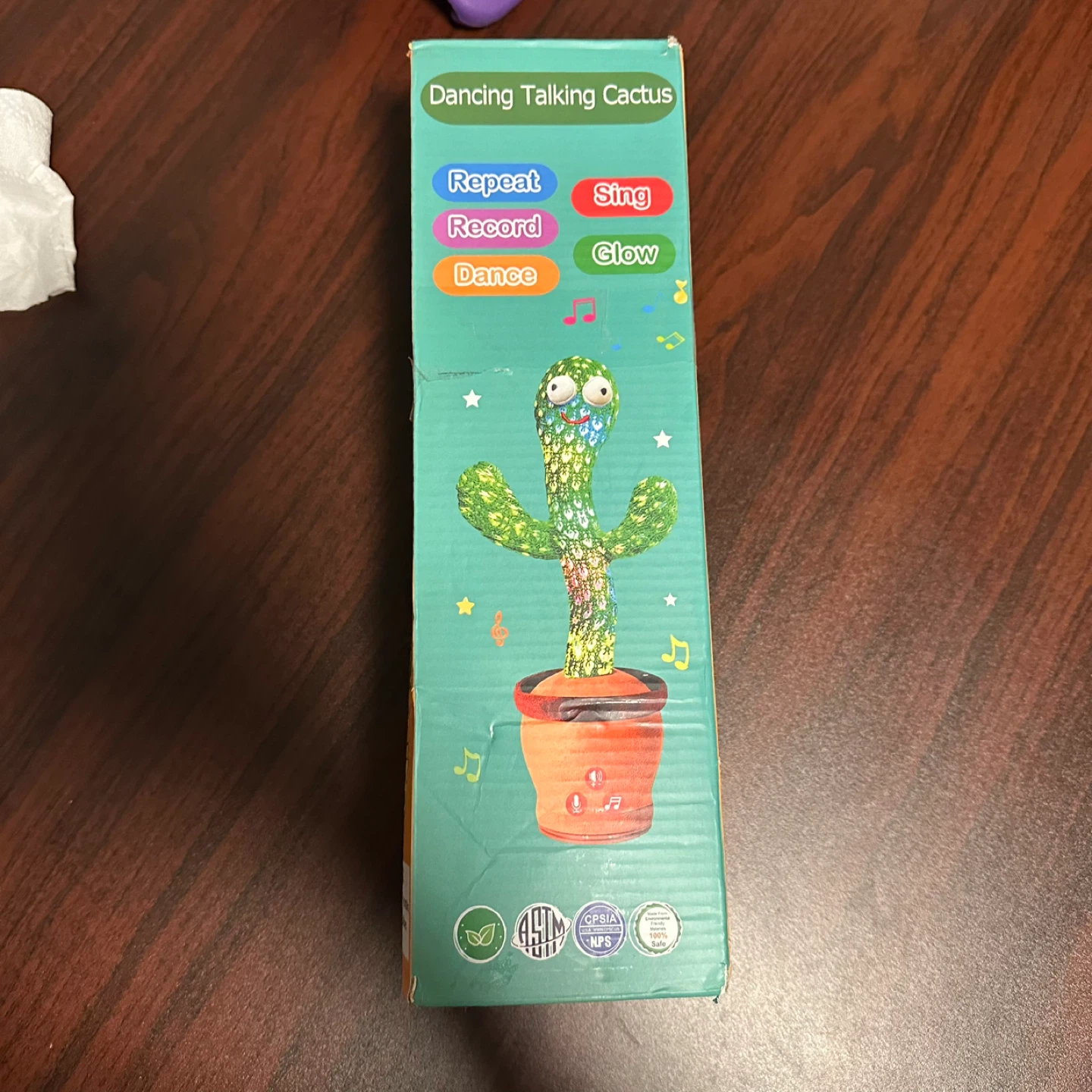 Dancing Talking Cactus Toy