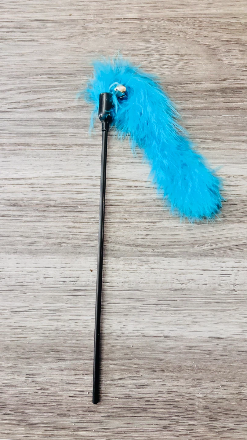 Blue Feather Wand Cat Toy (Set of 3) - photo 2