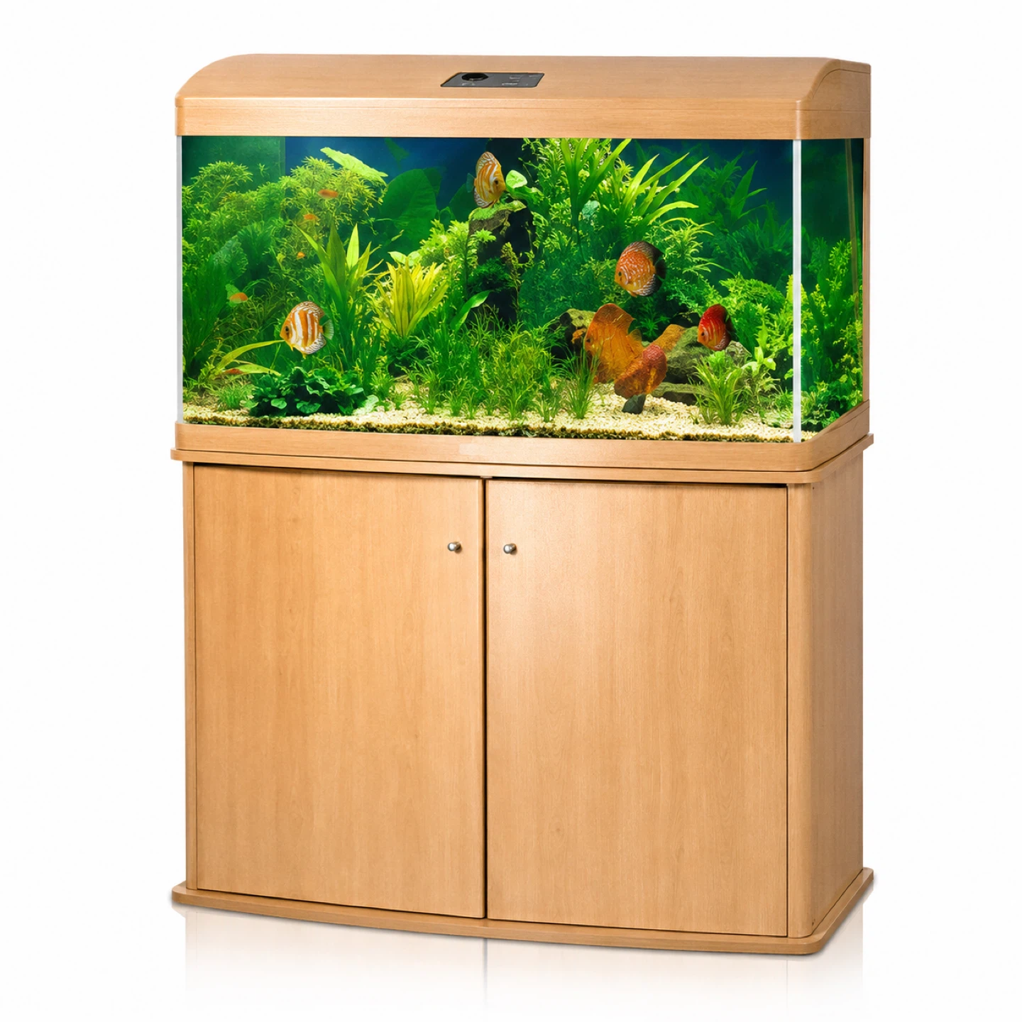 JEBO R3100 Aquarium with Cabinet and salt water system