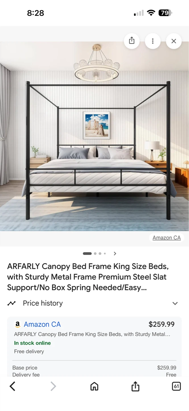ARFARLY Canopy Bed Frame King Size Black Metal