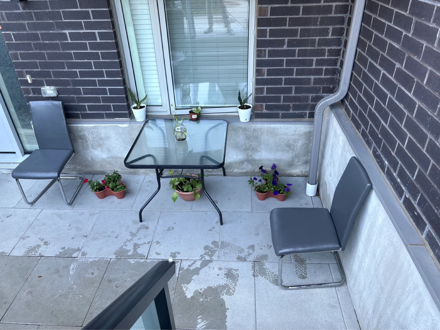 Backyard front yard house cleaning, helper guy clean up
