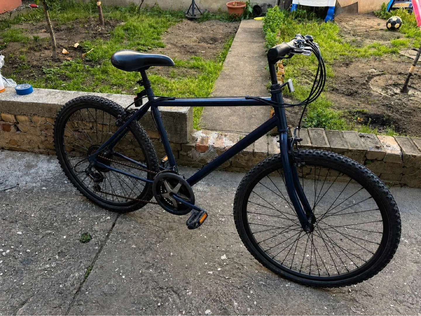 Blue Mountain Bike
