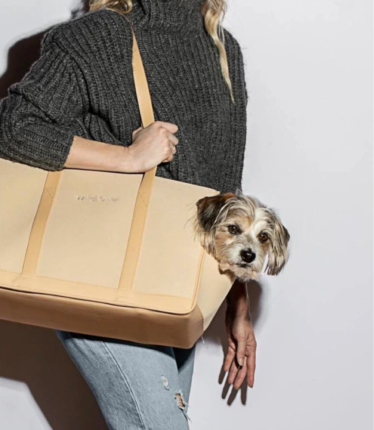 Wild One Pet Carrier Tote Bag - Beige - photo 2