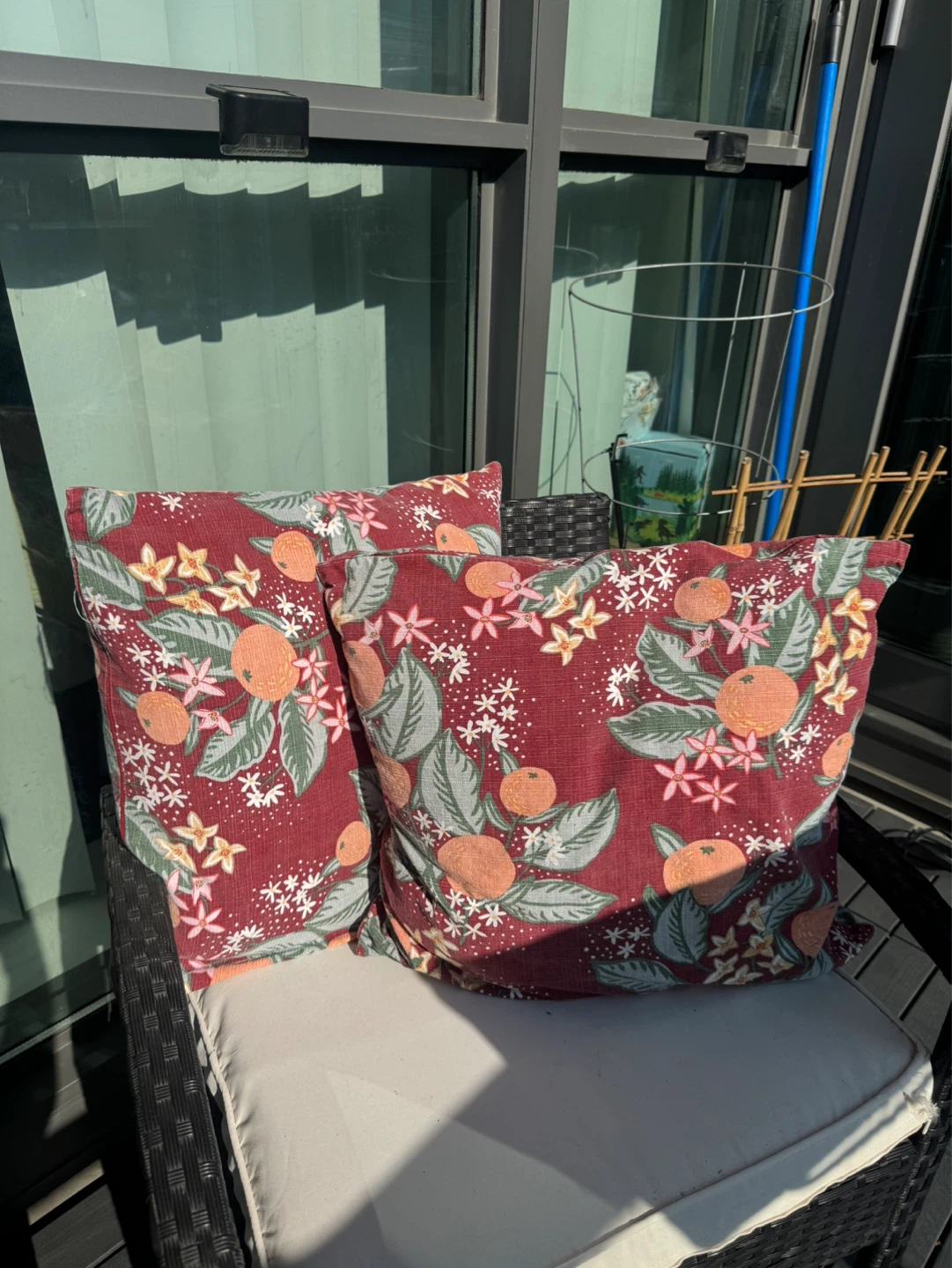FREE VegTrug raised planter & garden supplies - photo 4