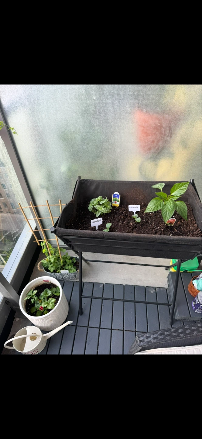 FREE VegTrug raised planter & garden supplies - photo 3