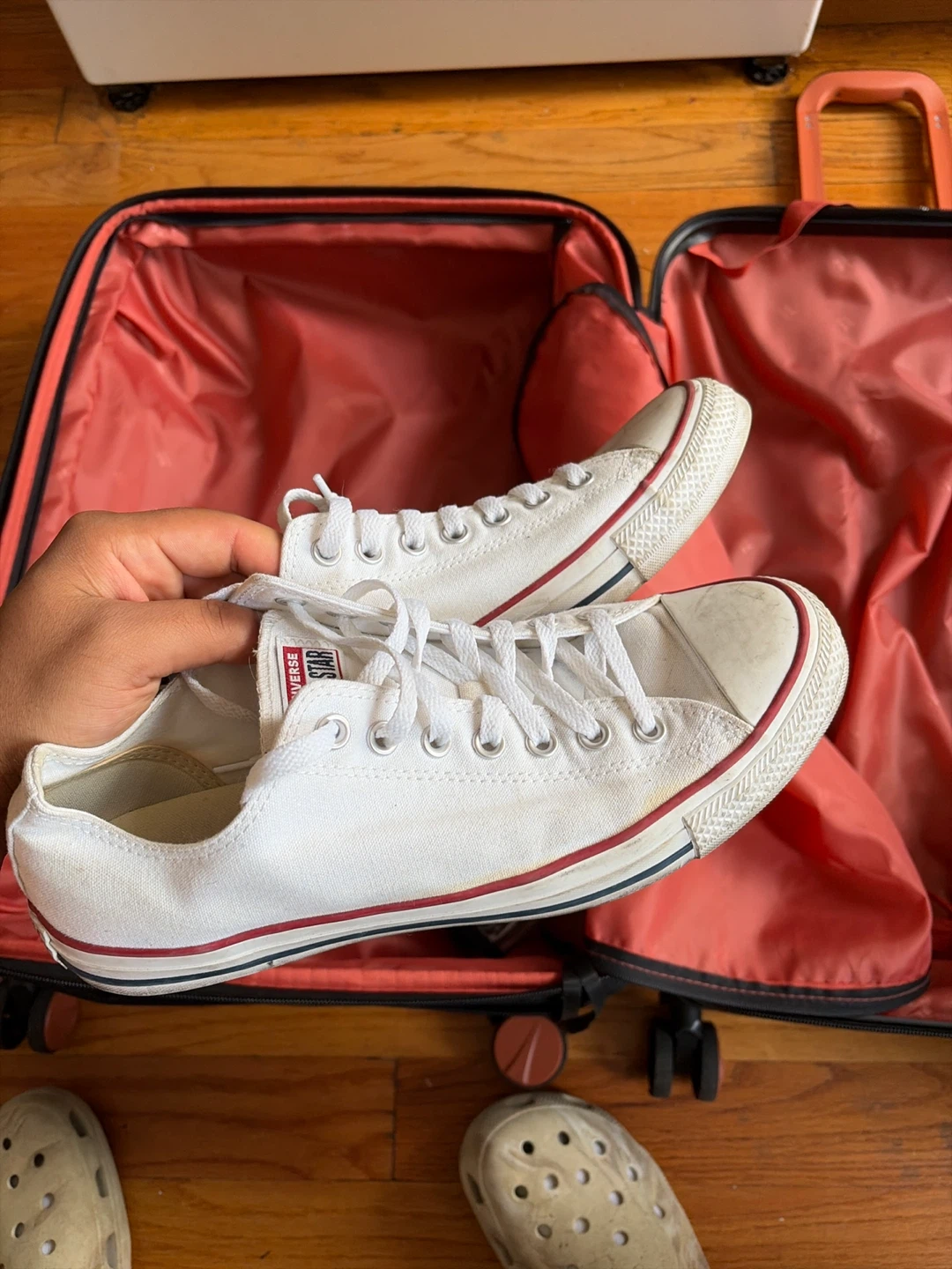 Converse All Star Chuck Taylor Low Top Sneakers