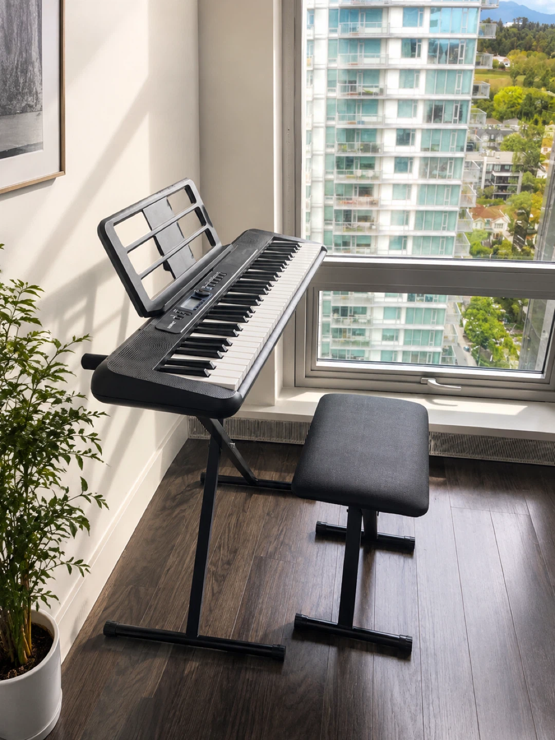 Casio Electronic Keyboard with Stand and Bench