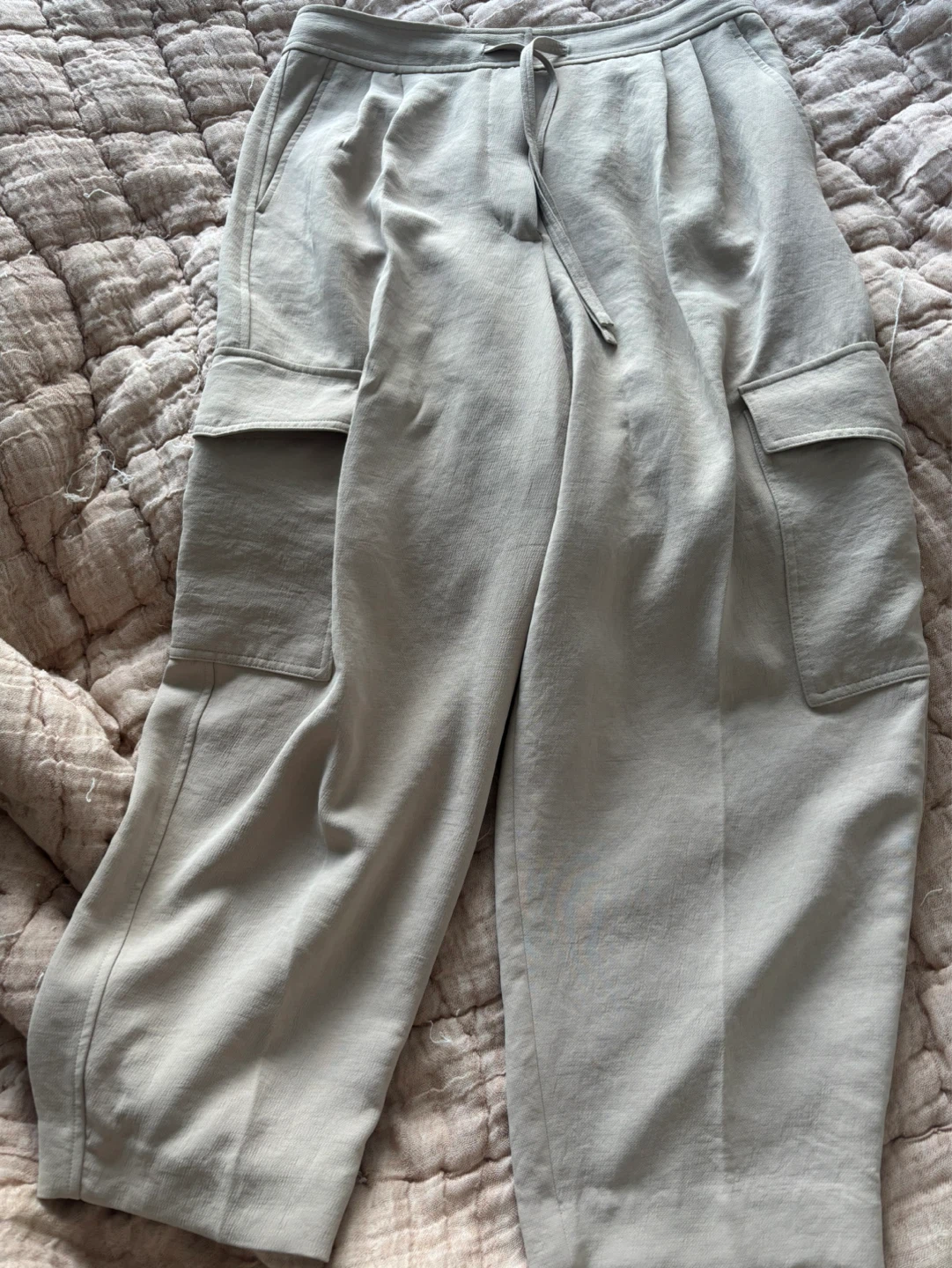 Wilfred Beige Cargo Pants Size 10