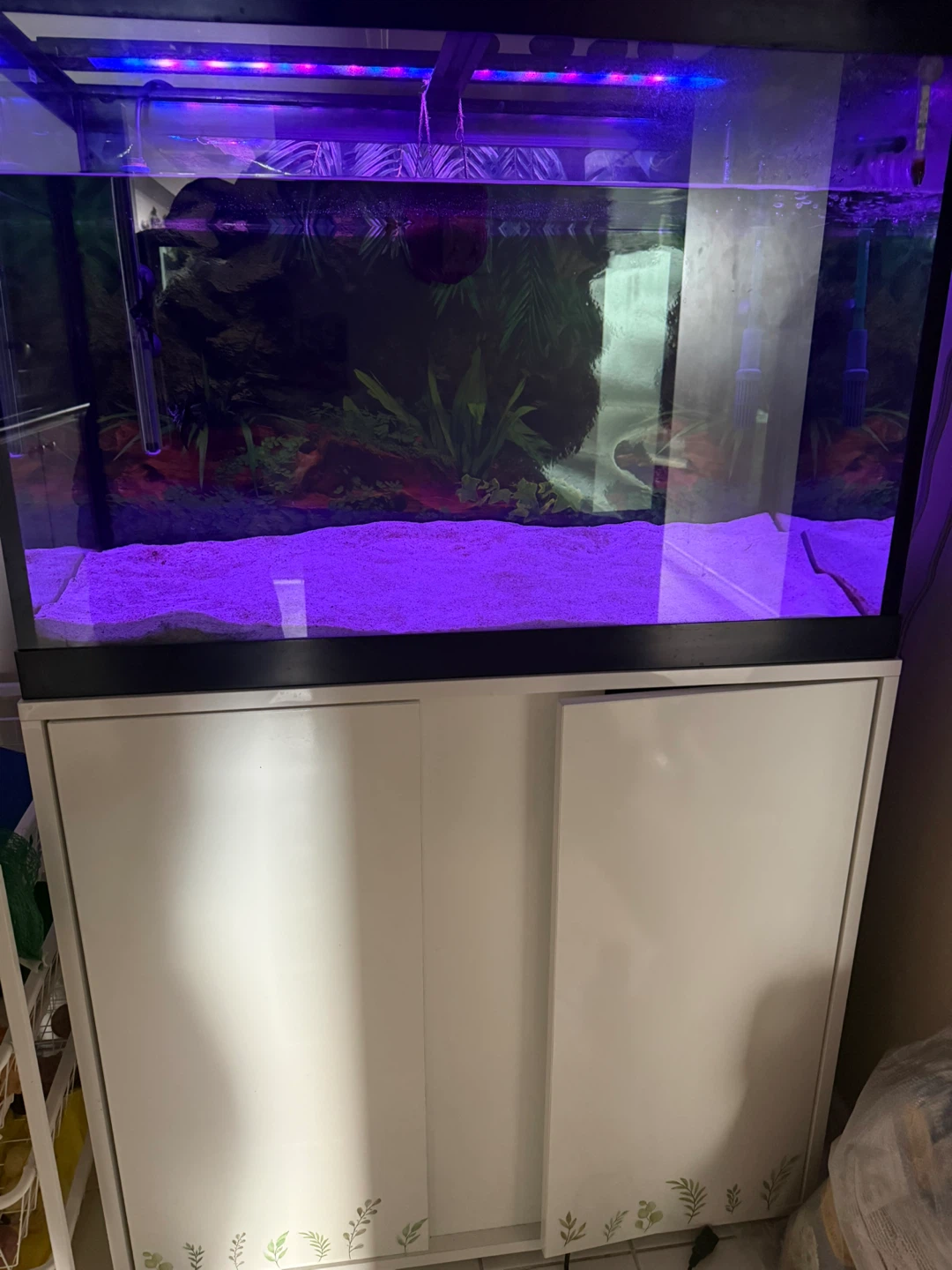 Eheim Aquarium Filter & Tank Setup - photo 4