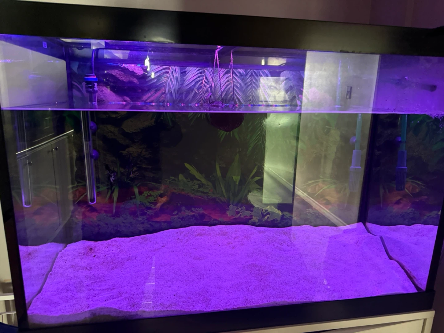 Eheim Aquarium Filter & Tank Setup - photo 3